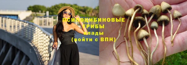 круглые Алзамай