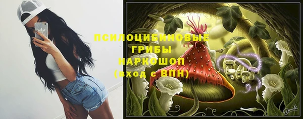 круглые Алзамай